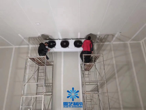 果蔬氣調(diào)冷庫中氣調(diào)性的主要作用